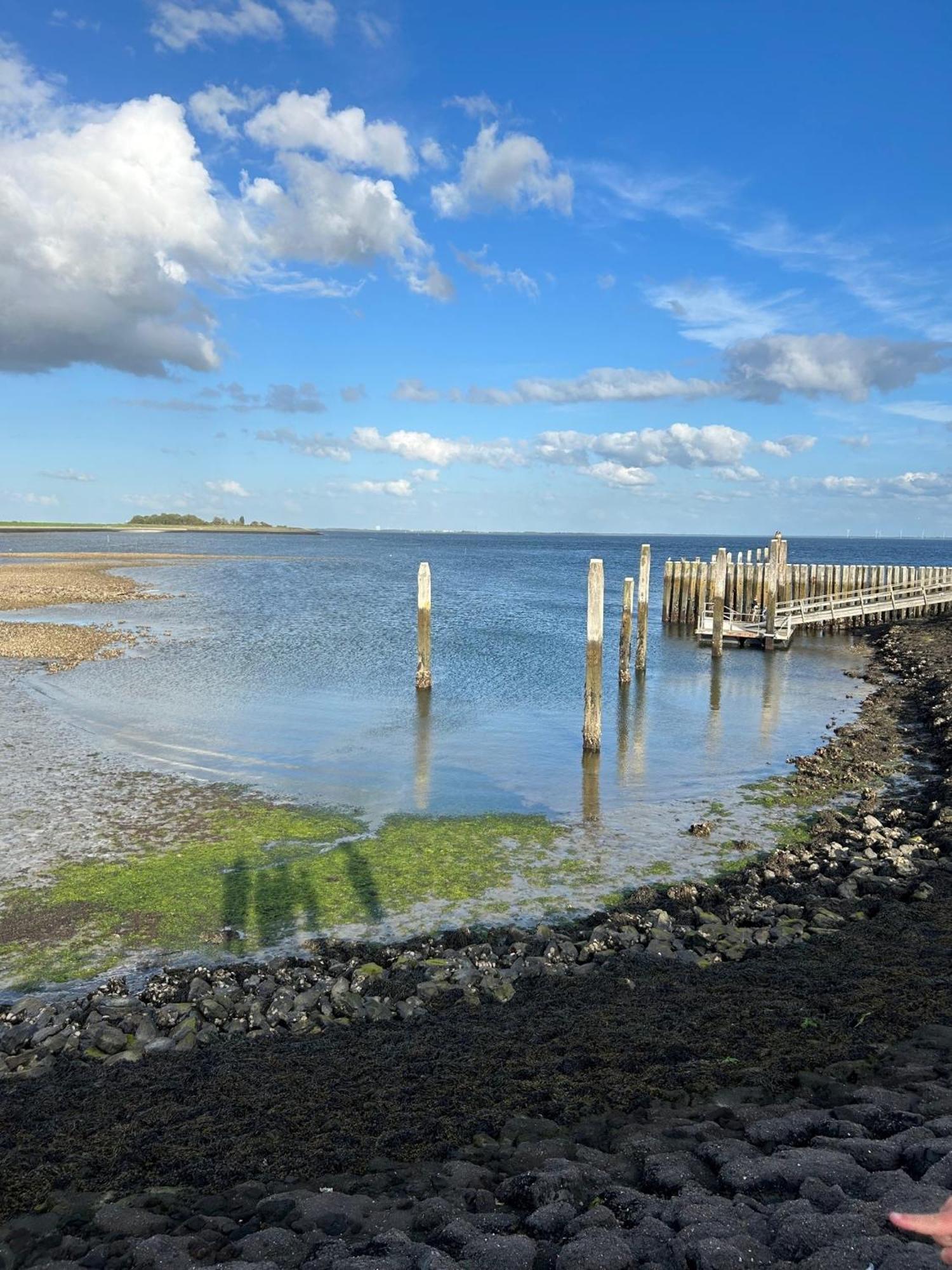 Oosterschelde Lodge Met Veel Privacy En Dicht Bij Het Water 스케프네스 외부 사진